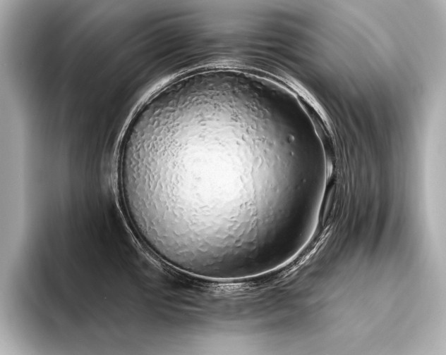 X0000094321437200711021343