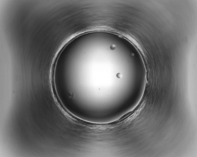 X0000094321438200711021343