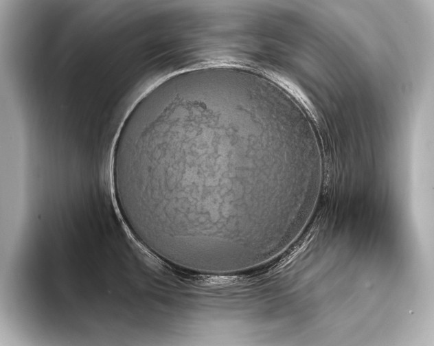 X0000094321439200711021343