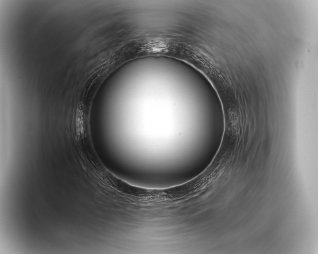 X0000094321442200711021343