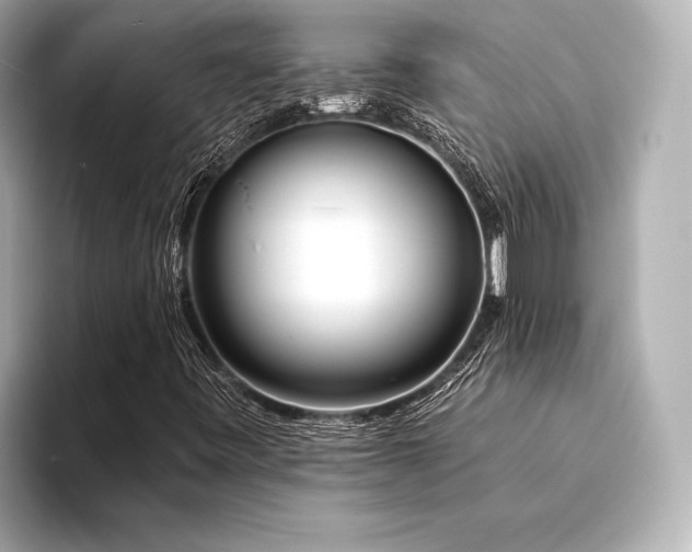 X0000094321443200711021343