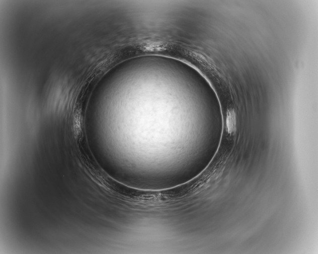 X0000094321444200711021343
