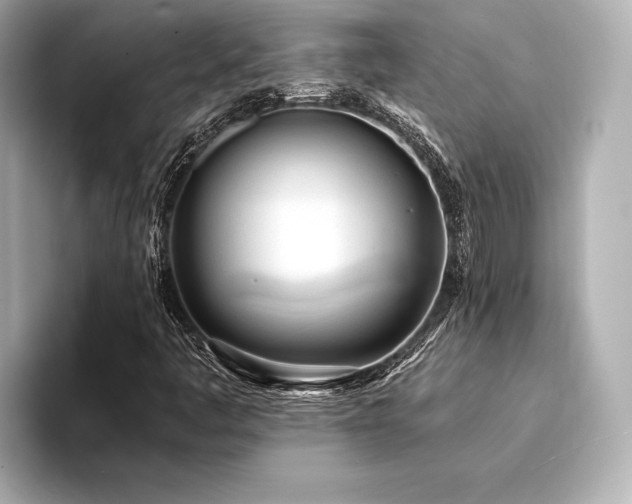 X0000094321445200711021343