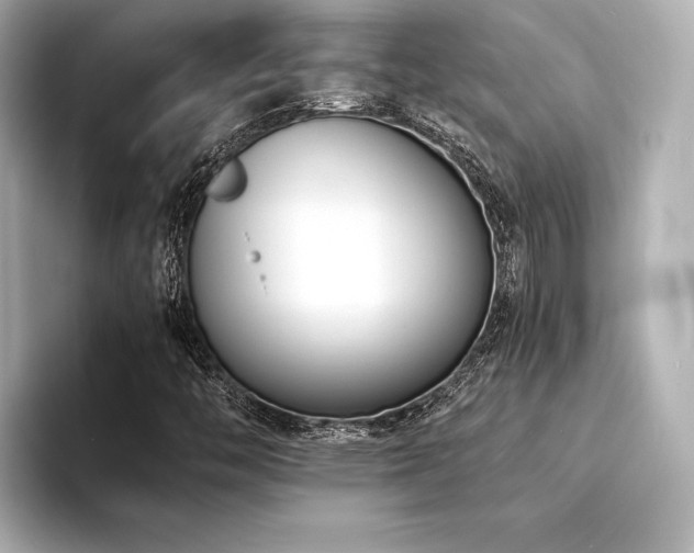 X0000094321446200711021343