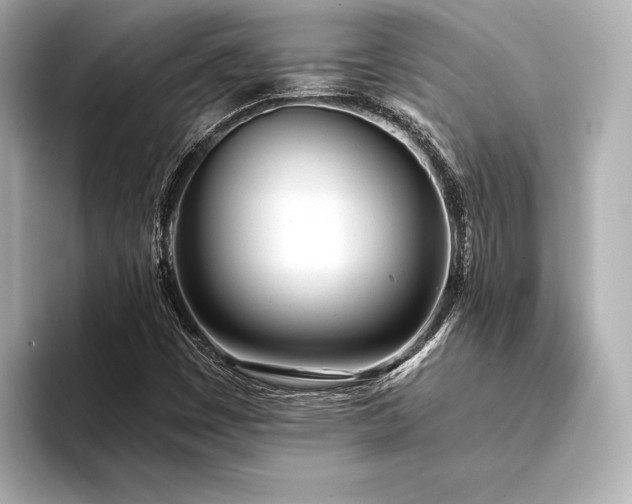 X0000094321449200711021343