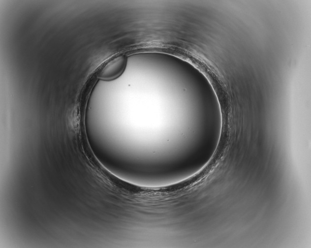 X0000094321450200711021343