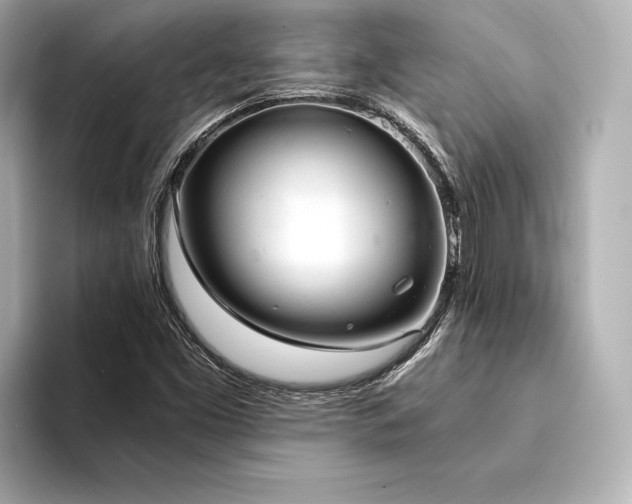 X0000094321453200711021343
