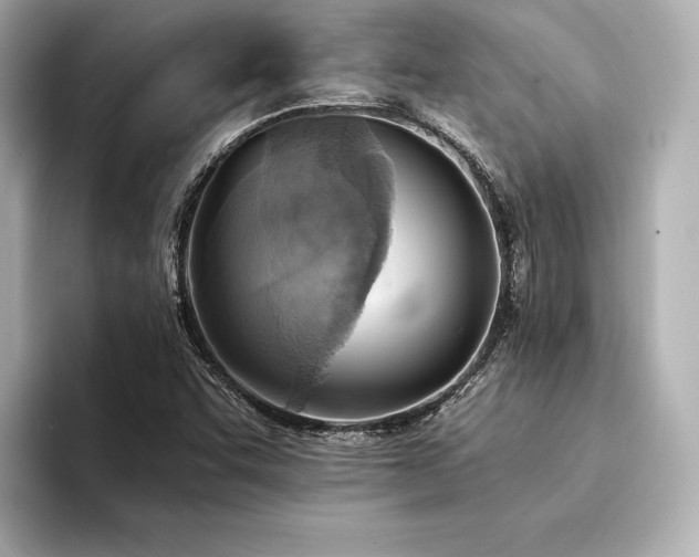 X0000094321455200711021343