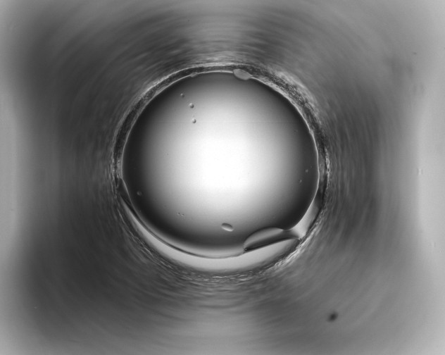X0000094321457200711021343