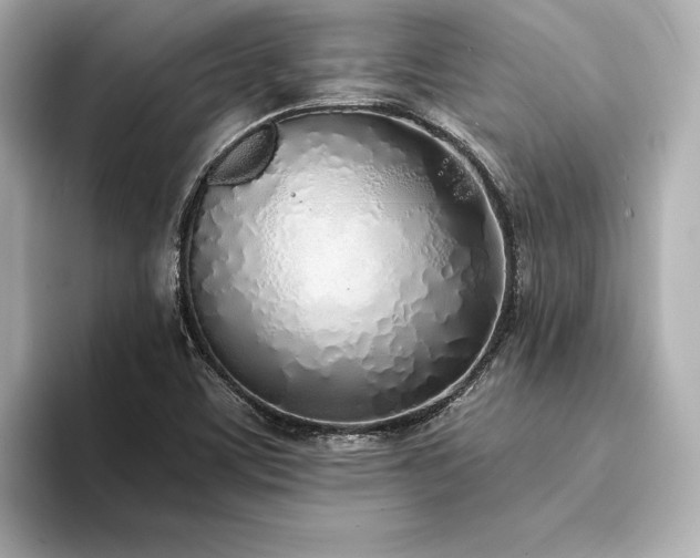 X0000094321459200711021343