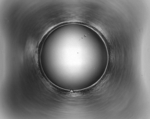 X0000094321460200711021343