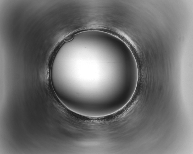 X0000094321461200711021343