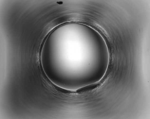 X0000094321465200711021343