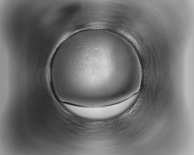 X0000094321467200711021343