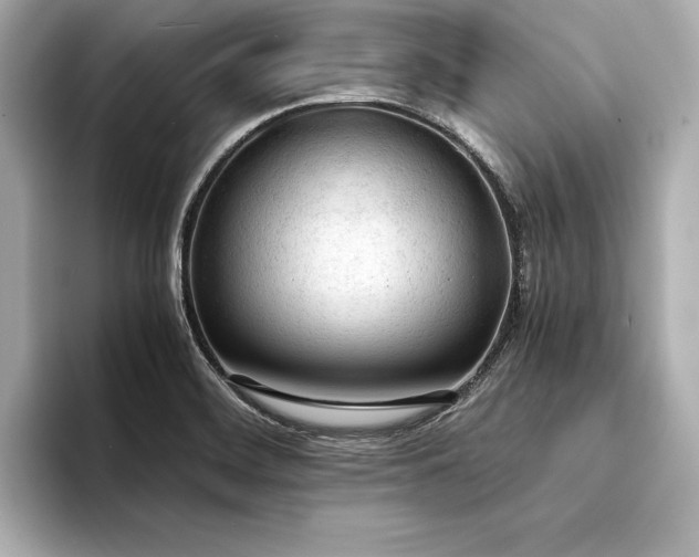 X0000094321468200711021343