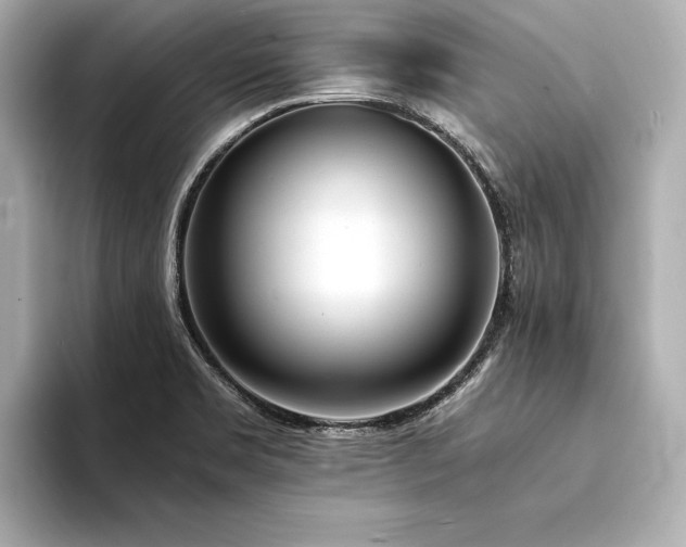 X0000094321469200711021343