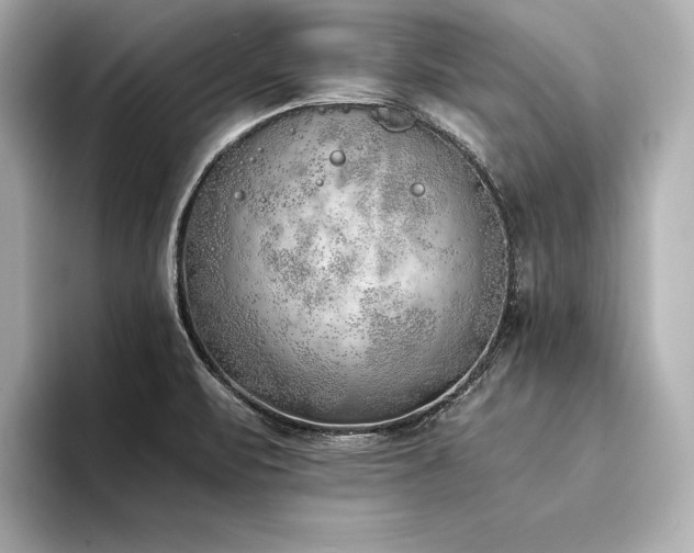 X0000094321471200711021343