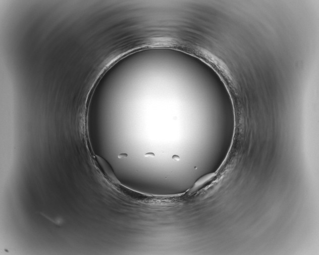 X0000094321473200711021343