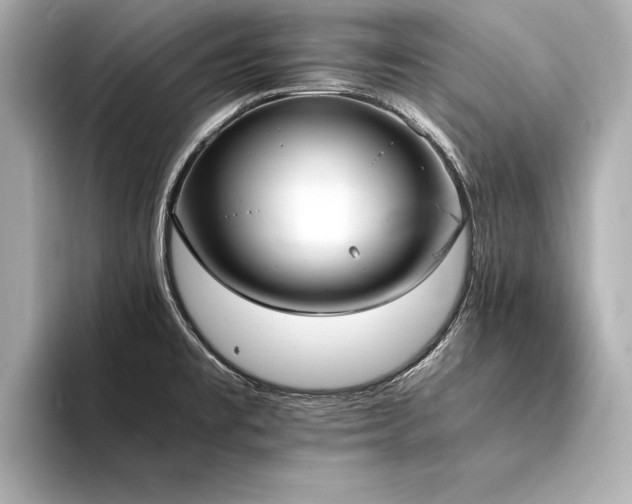 X0000094321477200711021342