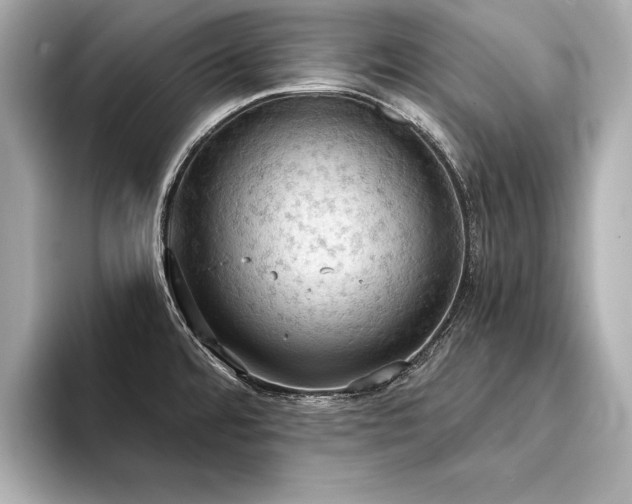 X0000094321480200711021342