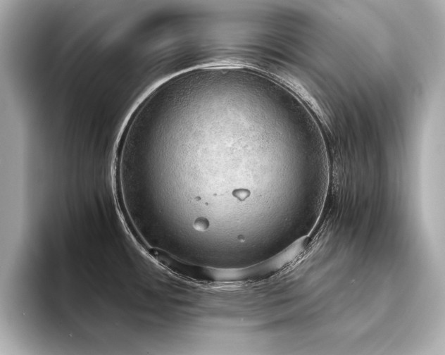 X0000094321484200711021342