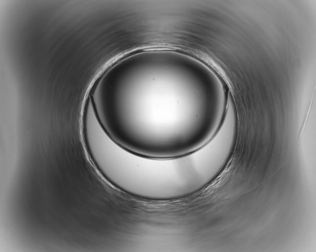 X0000094321485200711021342