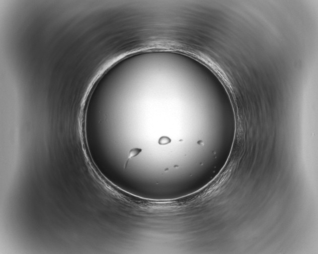 X0000094321486200711021342