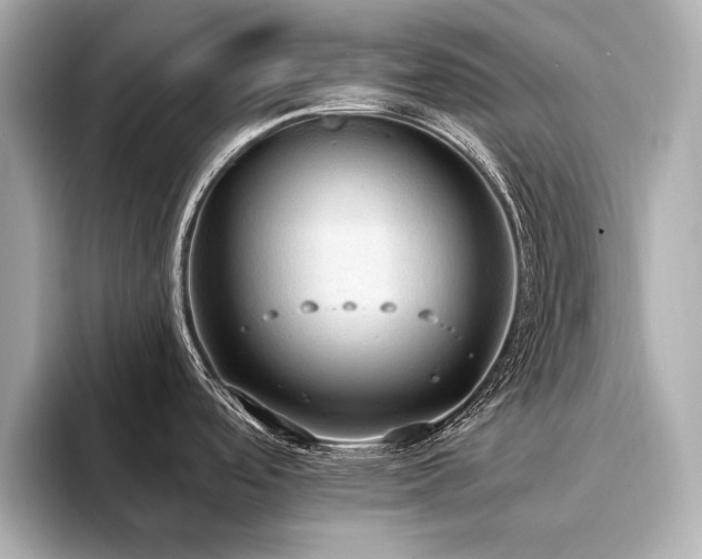 X0000094321488200711021342