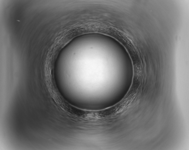 X0000094321489200711021342