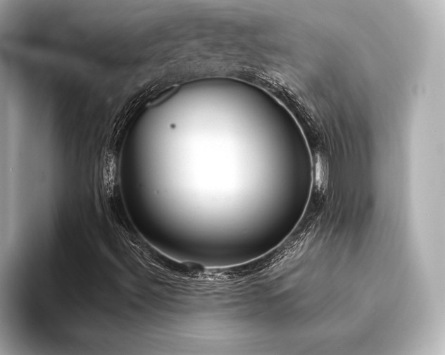 X0000094321492200711021342
