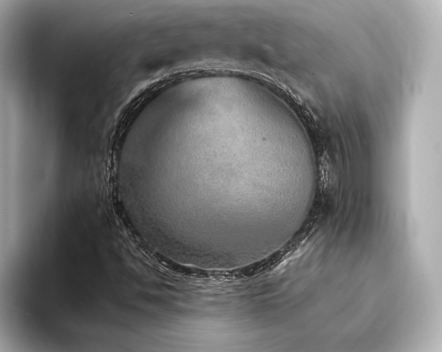 X0000094321494200711021342