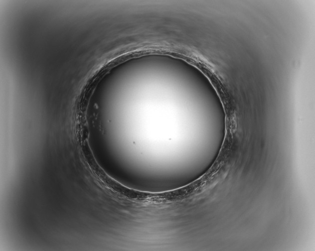X0000094321496200711021342