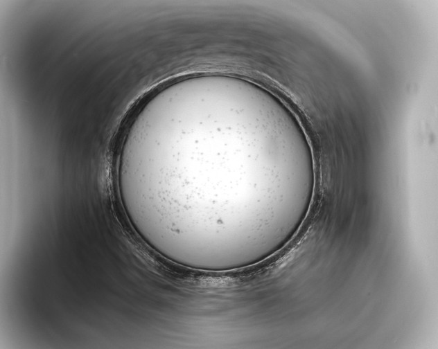 X0000094321498200711021342