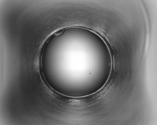 X0000094321500200711021342