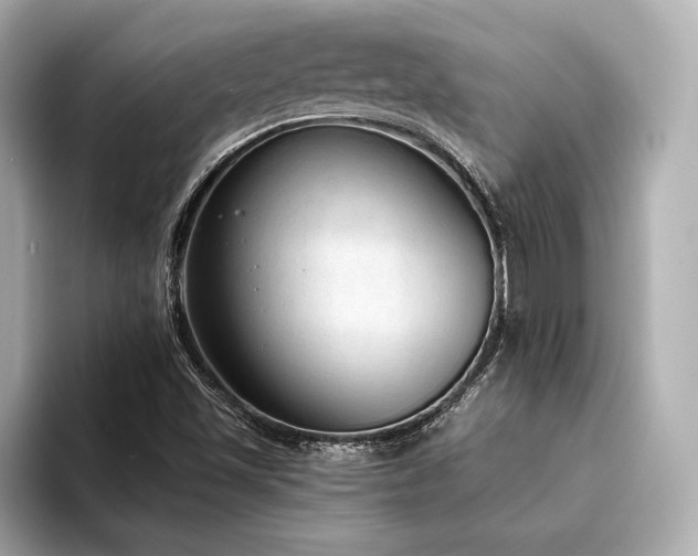 X0000094321501200711021342