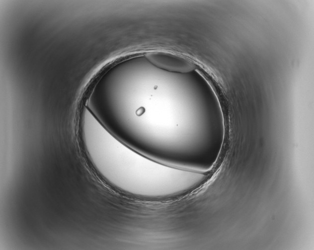 X0000094321502200711021342