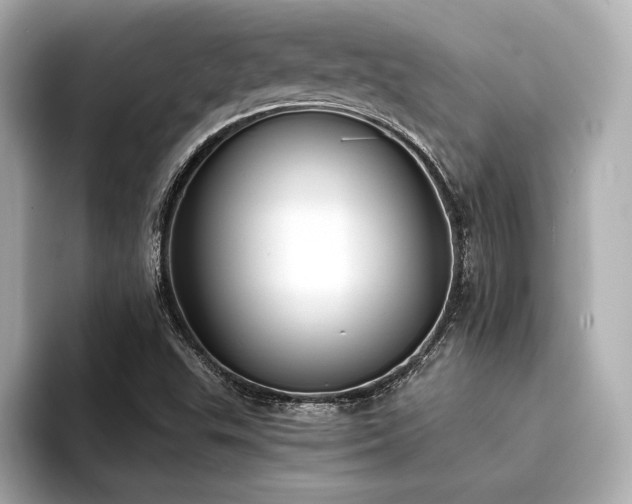 X0000094321503200711021342