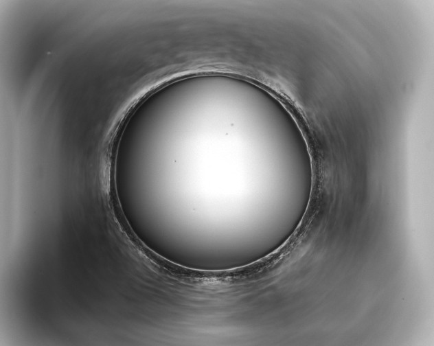 X0000094321504200711021342