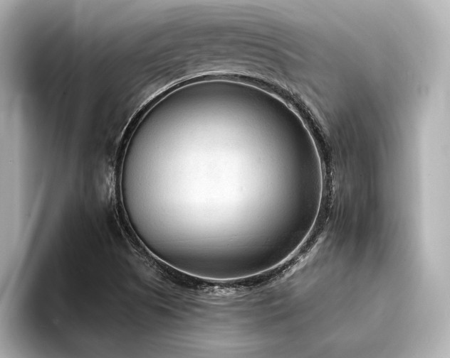 X0000094321505200711021342