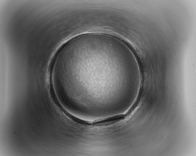 X0000094321506200711021342
