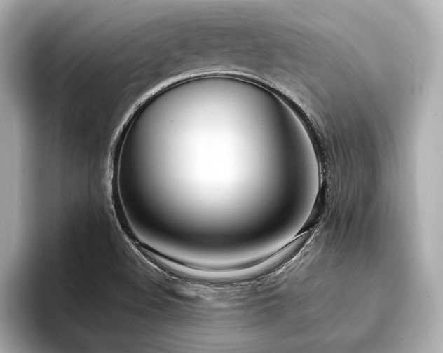 X0000094321508200711021342