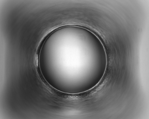 X0000094321509200711021342