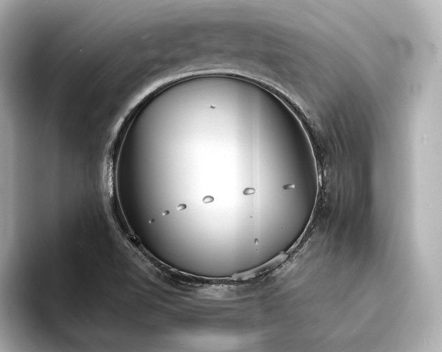X0000094321510200711021342