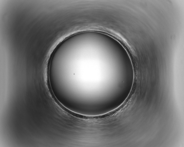 X0000094321512200711021342