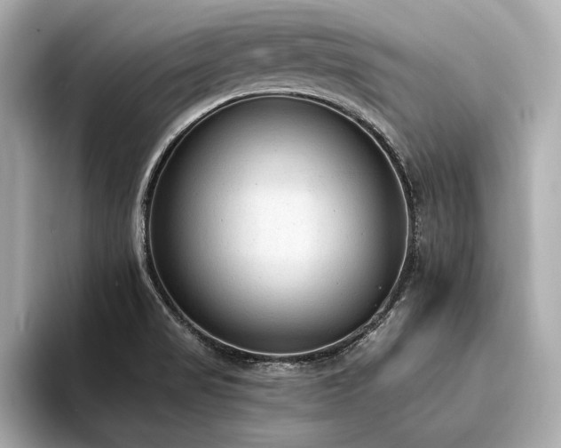 X0000094321517200711021342