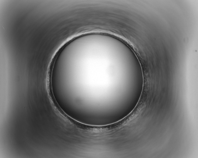 X0000094321518200711021342