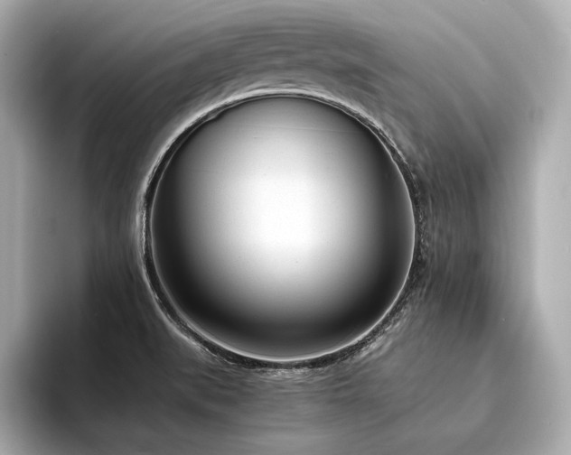 X0000094321519200711021342