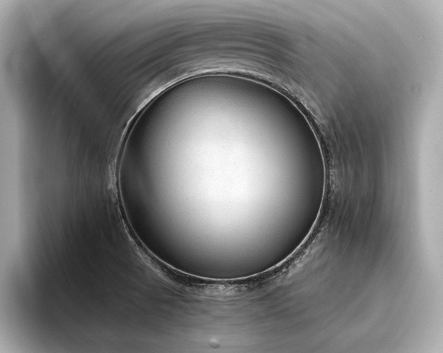 X0000094321521200711021342
