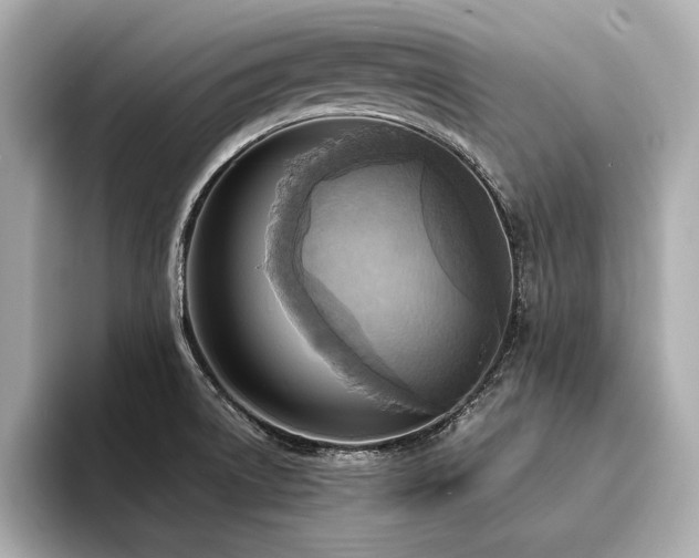 X0000094321522200711021342