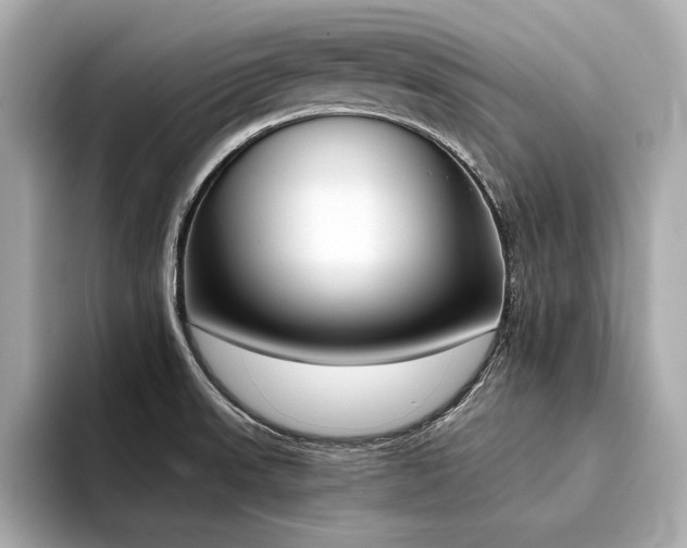 X0000094321523200711021342